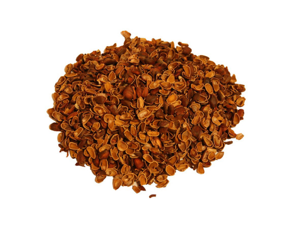 c15afd53a43c84203e9ca83f755688c97a2fcd5817a0600f093d6f79f3f846b0_1