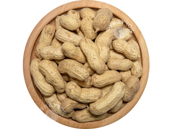 16d482f1dc9bb909d95684cbf24bb44484b7e56f4c2a6de97fb1f3d2061740ac_2