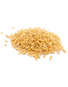 Семена горчицы