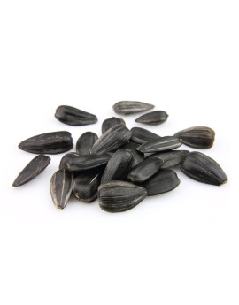 Семечки подсолнечника сырые (крупные)