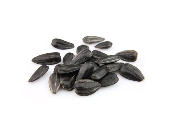 edc3ee7c9dc75f2b5fcacf810e5962e21a3f6016f9b39afb049483bcc42e2c84_1